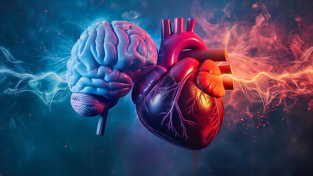 Why Protecting Your Hearing is the Key to Better Brain and Heart